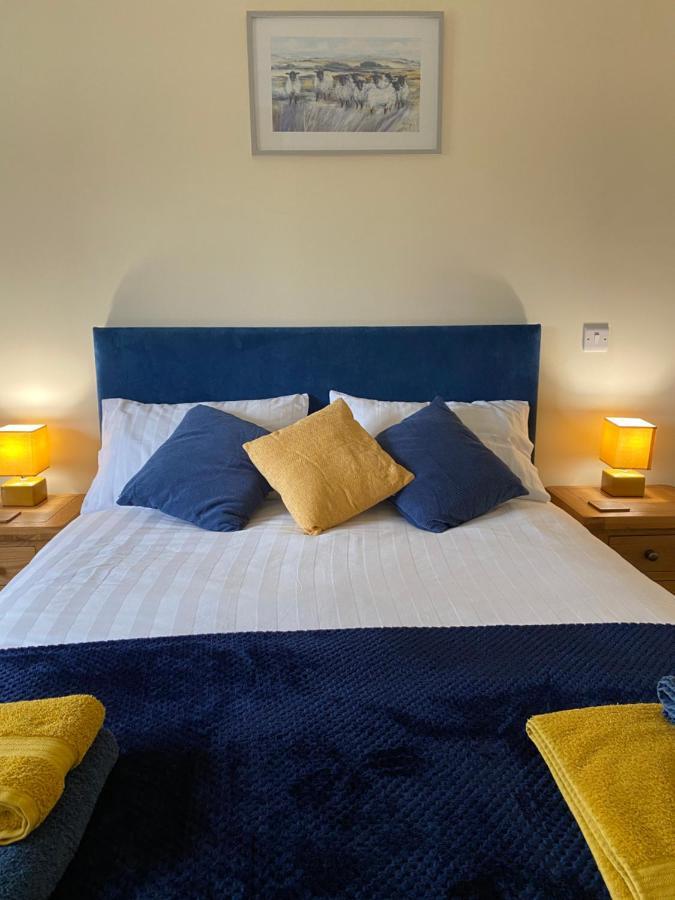 Moelfre B&B Machynlleth Zewnętrze zdjęcie